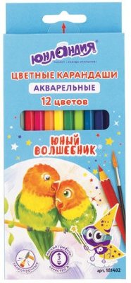 Карандаши цветные акварельные ЮНЛАНДИЯ "ЮНЫЙ ВОЛШЕБНИК", 12 цветов, шестигранные, заточенные, 181402