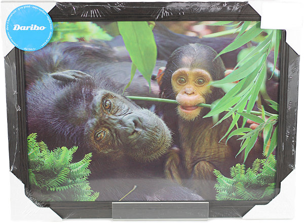 3D картина Daribo Monkey DA12020