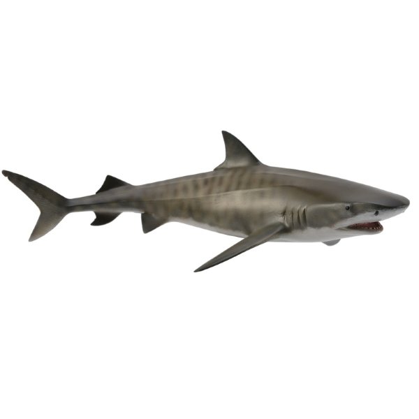 Collecta Тигровая акула L 88661b