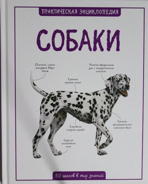 Собаки