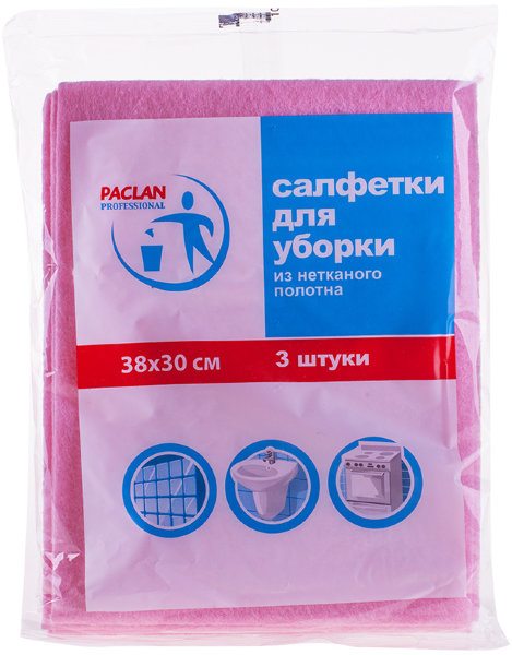 Салфетки для уборки Paclan "Professional", набор 3шт., вискоза, 38*30см