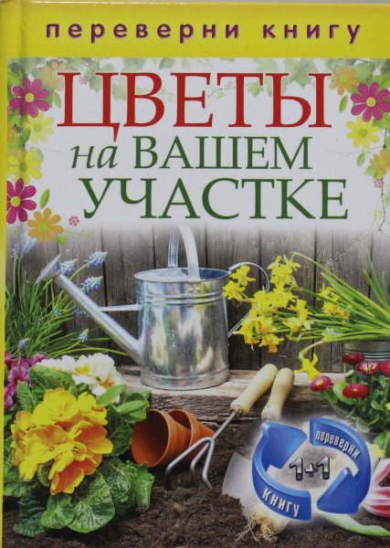 Цветы на вашем участке.Комнатные деревья и кустарники