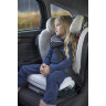 Автокресло 2-3 BeSafe iZi Flex Fix i-Size(Black Car Interior Premium 518050)