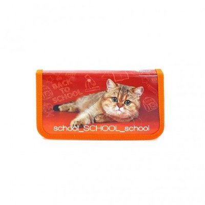 Оникс Пенал 1 отд. (190*110) School cat, лам. ПКК 03-5