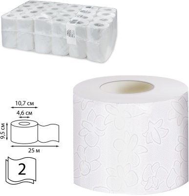 Бумага туалетная 25 м, VEIRO Professional (Система T4), КОМПЛЕКТ 48 шт., Premium, 2-слойная