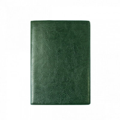 ДПС Бумажник для автодокументов + паспорта, кожзам "Зеленый" 2812.АП-208