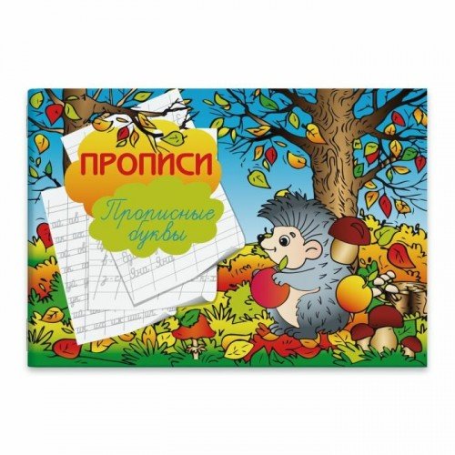 Феникс + Прописи. Прописные буквы, 16 стр. 47947