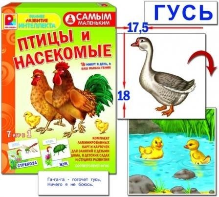 Серия Самым маленьким.Птицы,насекомые(Игра наст.-печатная)