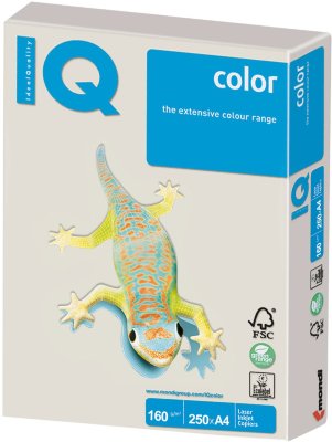 Бумага IQ color, А4, 160 г/м2, 250 л., умеренно-интенсив, серая, GR21